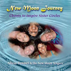 Cover of New Moon Journey CD