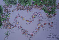 Alicia's drawing documents a flying heart made of seashells that she created in the Caymen islands, in the Carribbean.